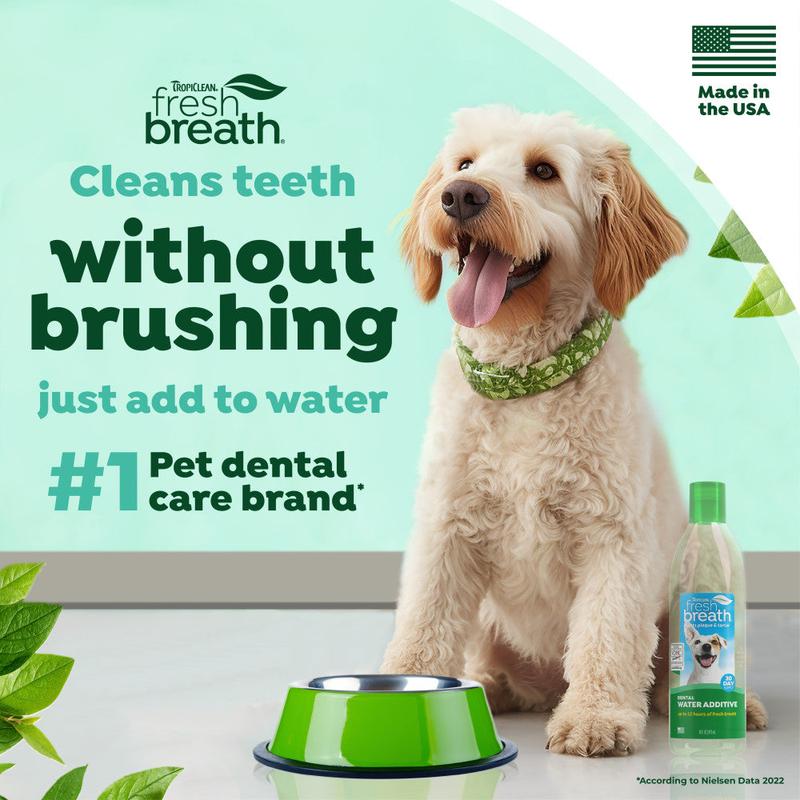 Fresh Breath