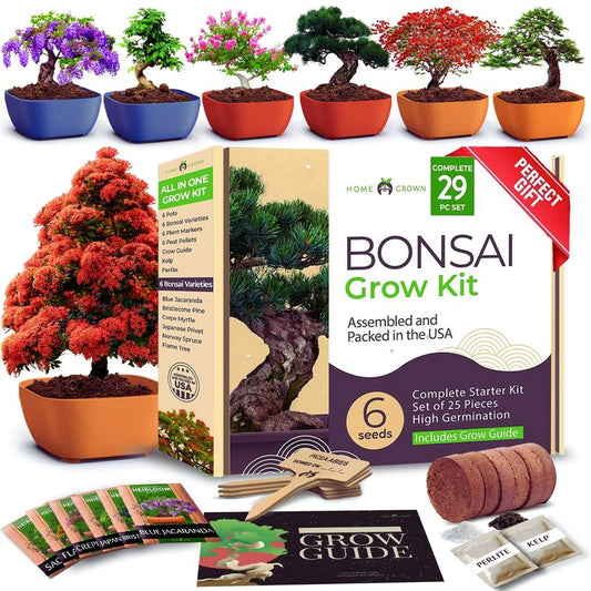 Bonsai Starter Kit