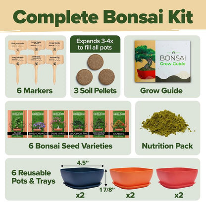 Bonsai Starter Kit