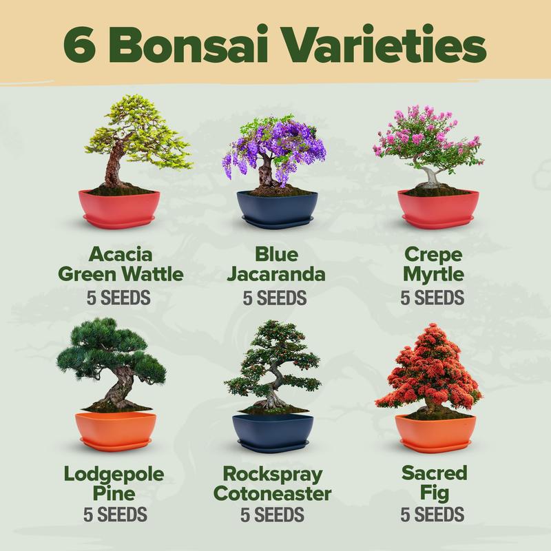 Bonsai Starter Kit