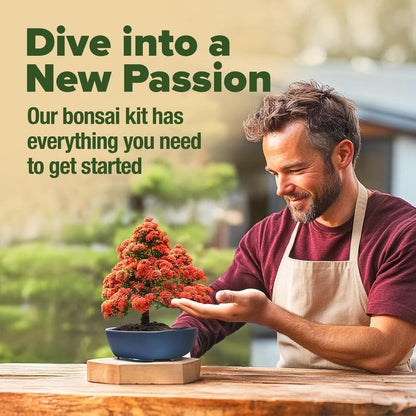 Bonsai Starter Kit